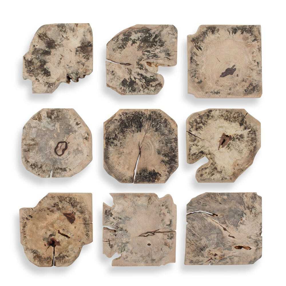 Nine natural wood slice wall art pieces with visible grain, cracks, and organic shapes arranged in a grid